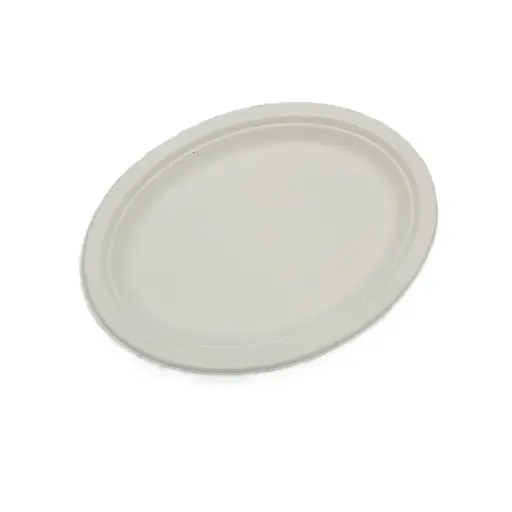 50 Bagasse plates - 26 cm (oval , white) 